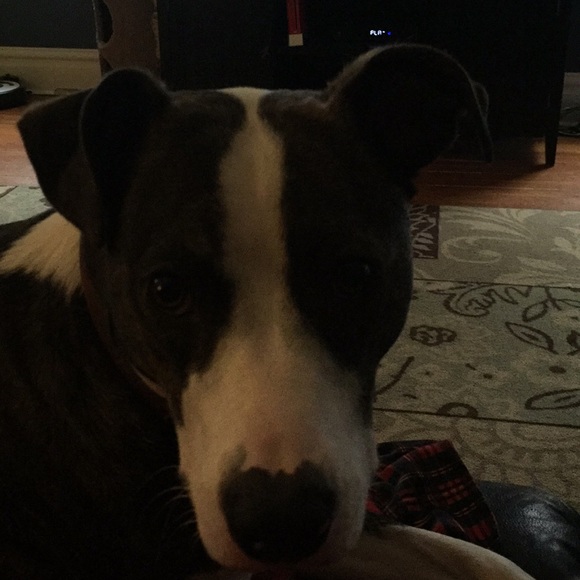 Meet your Posher, Terry - Picture 1 of 1